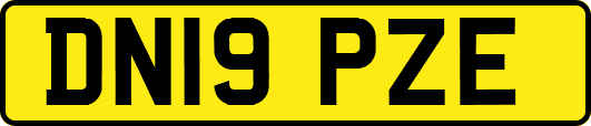 DN19PZE
