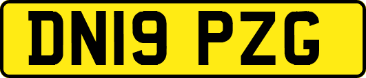 DN19PZG