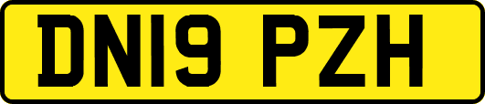 DN19PZH