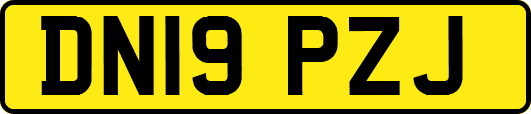 DN19PZJ