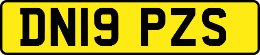 DN19PZS
