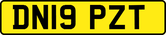 DN19PZT