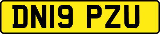 DN19PZU