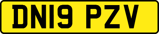 DN19PZV