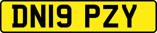 DN19PZY
