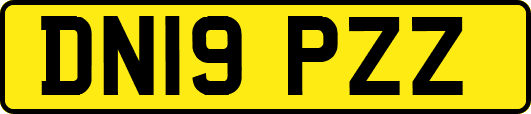 DN19PZZ