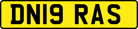 DN19RAS