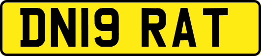 DN19RAT
