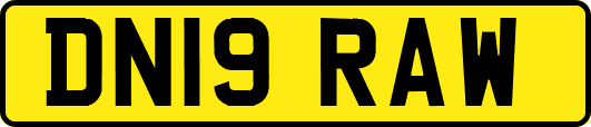 DN19RAW
