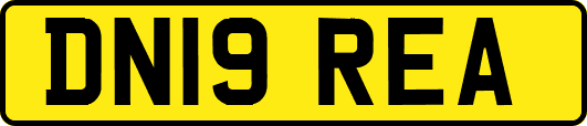 DN19REA