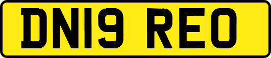 DN19REO