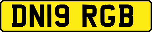 DN19RGB