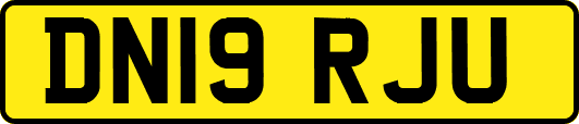 DN19RJU