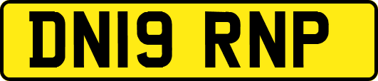 DN19RNP