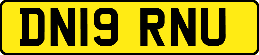 DN19RNU