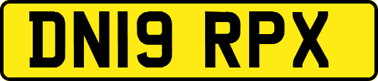 DN19RPX