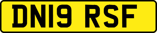 DN19RSF