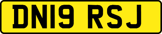 DN19RSJ