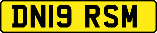 DN19RSM