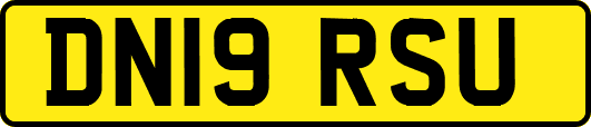 DN19RSU