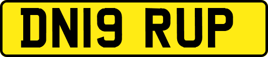 DN19RUP