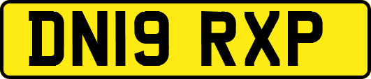 DN19RXP