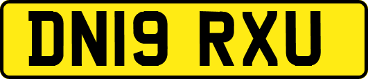 DN19RXU