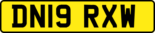 DN19RXW