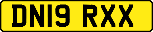 DN19RXX