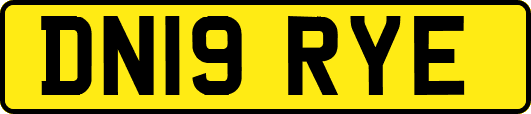 DN19RYE