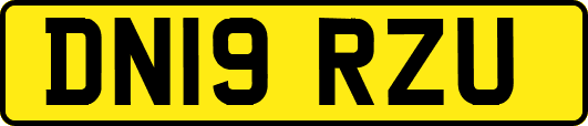 DN19RZU