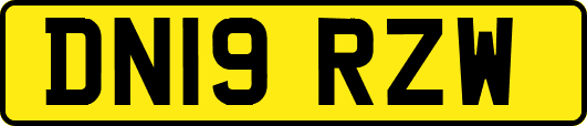 DN19RZW