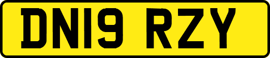 DN19RZY