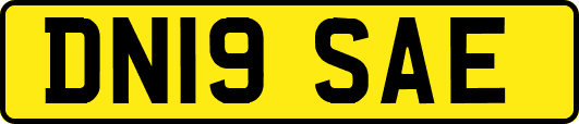 DN19SAE