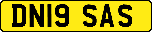 DN19SAS