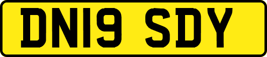 DN19SDY