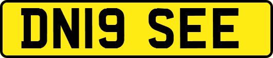 DN19SEE