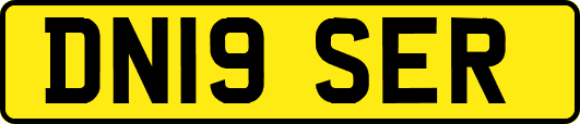 DN19SER