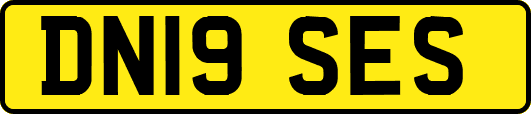 DN19SES
