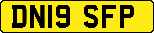 DN19SFP