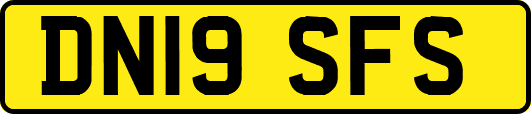 DN19SFS