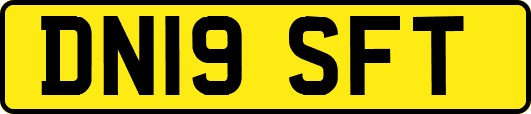 DN19SFT