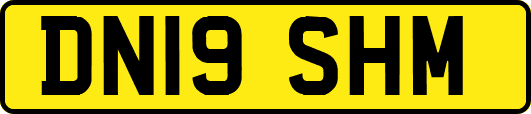 DN19SHM