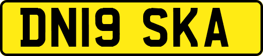 DN19SKA