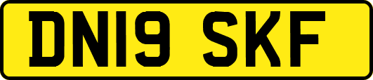 DN19SKF