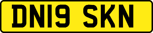 DN19SKN