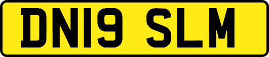 DN19SLM