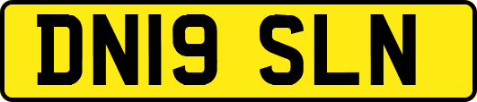 DN19SLN