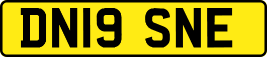 DN19SNE
