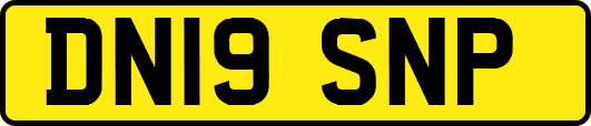 DN19SNP
